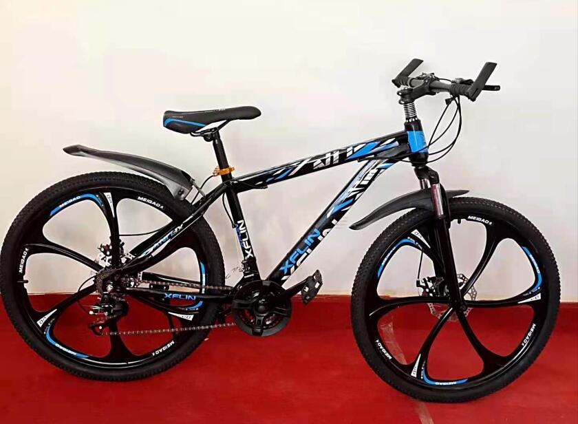 mountain bicycle MTB