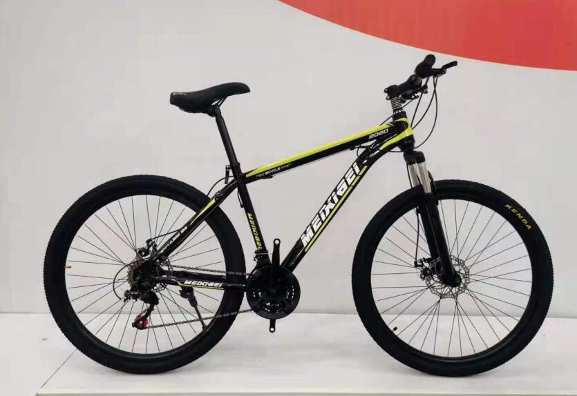 mountain bike MODEL  113